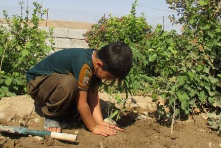 Reforestation in Iraqi&nbsp;Kurdistan
