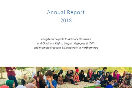 Wadi Activity Report for Iraq&nbsp;2018