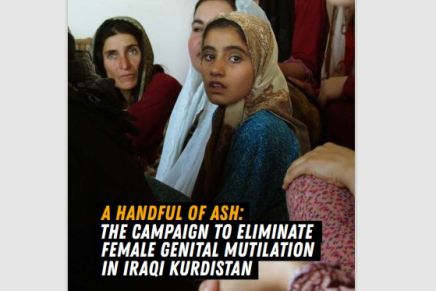 Brochure: Handful of Ash – The Campaign to Eliminate FGM in&nbsp;Iraqi-Kurdistan