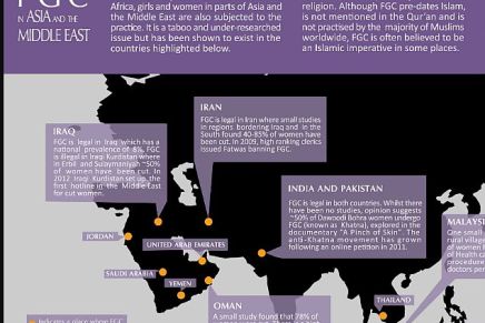 MENA leaders are failing to protect women and girls from&nbsp;FGM