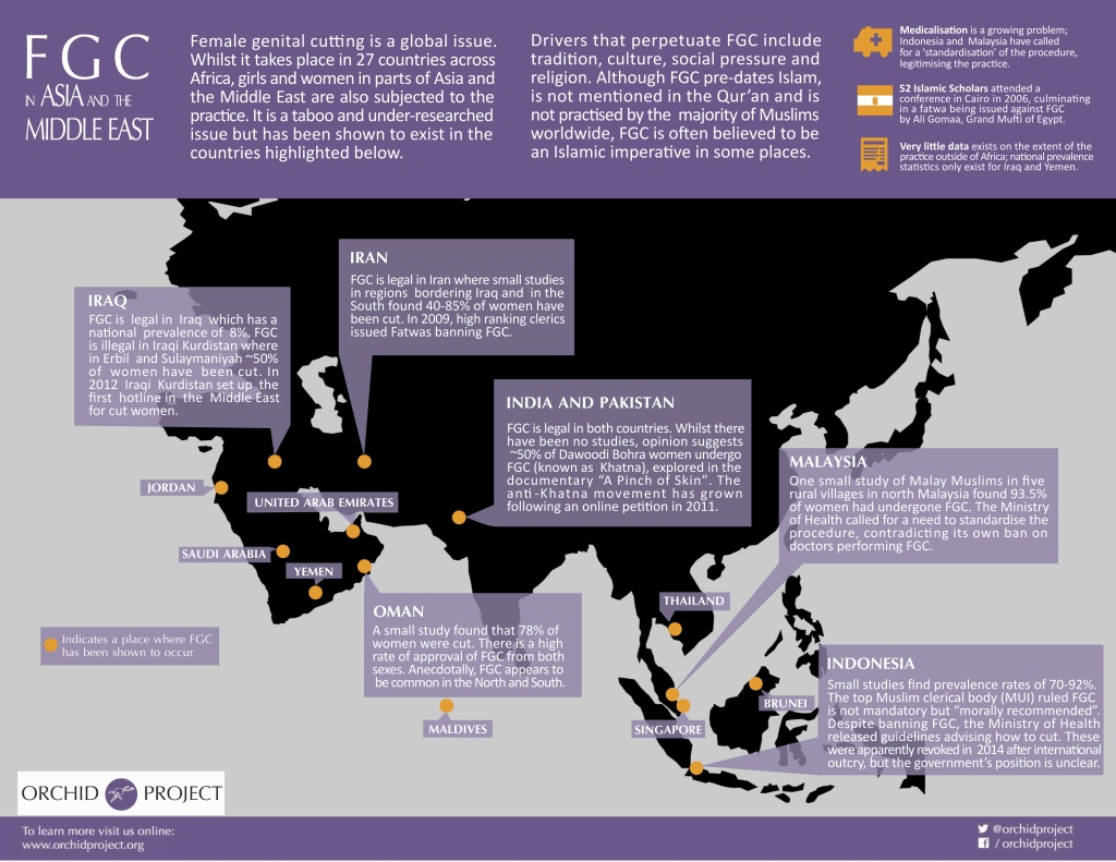 Infographic-Kopie--1024x791