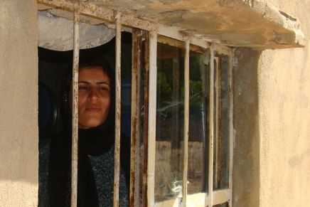 Looking back at 30 Years of Wadi: The Nawa&nbsp;Center