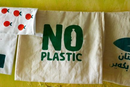 A Grassroot Approch for Environmentalism: The “Green City”-Campaign in&nbsp;Halabja