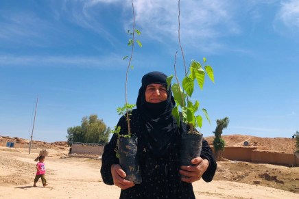 Climate Collaps: Activities on Earth&nbsp;Day