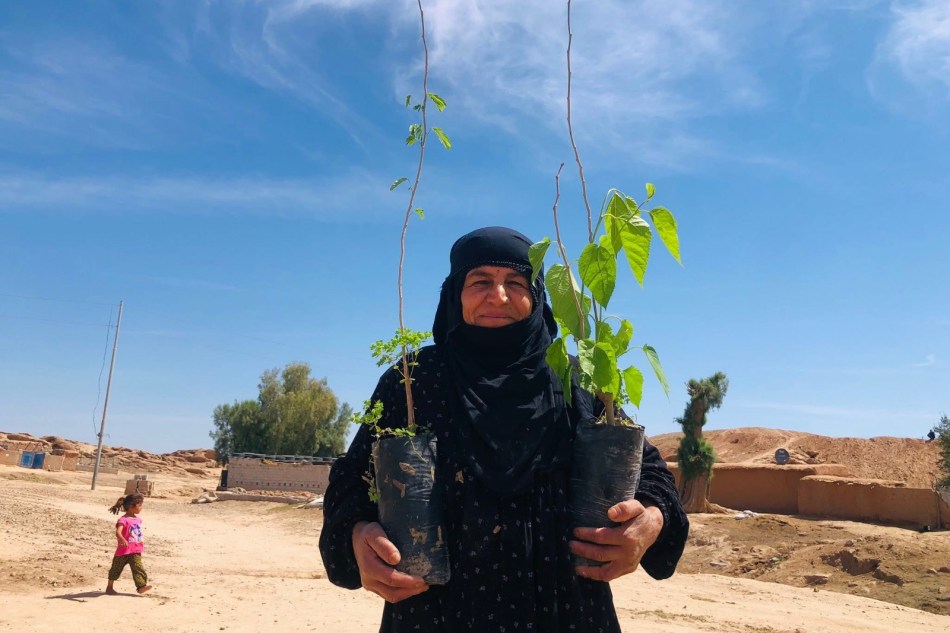 Climate Collaps: Activities on Earth&nbsp;Day