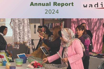 Wadi Annual Activity Report&nbsp;2024