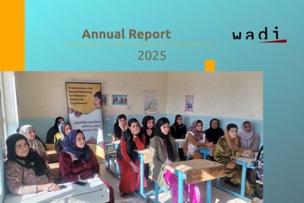 Wadi Annual Activity Report for&nbsp;2025