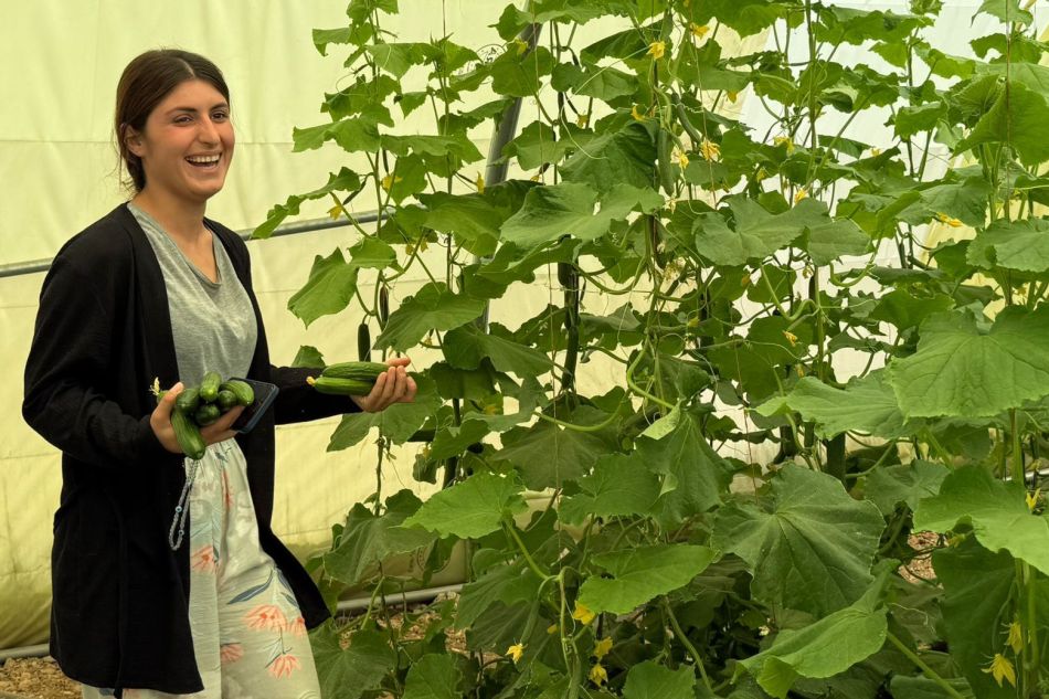 Yazidi Women Realize Three Dreams Through Plastic&nbsp;Greenhouse