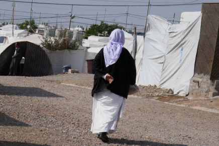 Growing Without Soil: Hydroponic Farming for Yazidi Women in Kabarto&nbsp;Camp